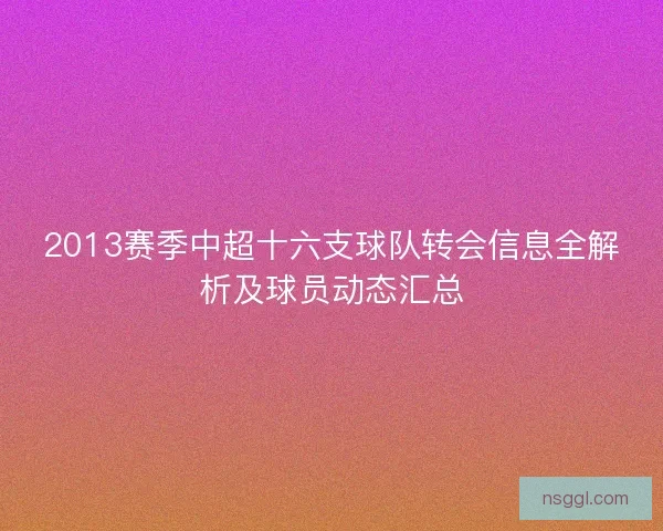 2013赛季中超十六支球队转会信息全解析及球员动态汇总
