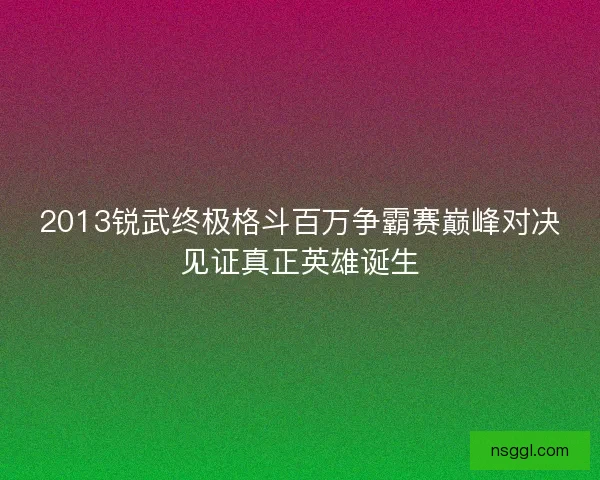 2013锐武终极格斗百万争霸赛巅峰对决见证真正英雄诞生