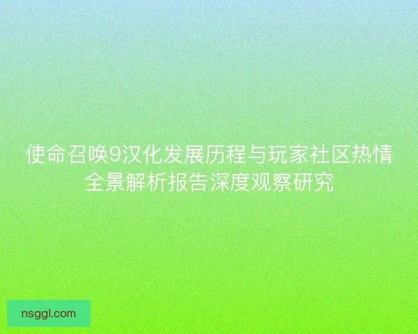 使命召唤9汉化发展历程与玩家社区热情全景解析报告深度观察研究