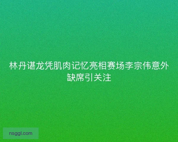 林丹谌龙凭肌肉记忆亮相赛场李宗伟意外缺席引关注