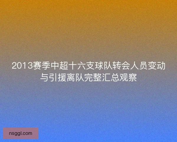 2013赛季中超十六支球队转会人员变动与引援离队完整汇总观察 2013赛季中超十六支球队转会人员变动与引援离队完整汇总观察