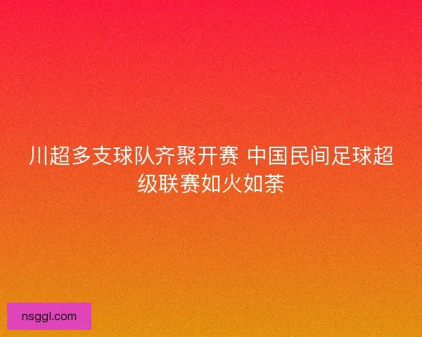 川超多支球队齐聚开赛 中国民间足球超级联赛如火如荼